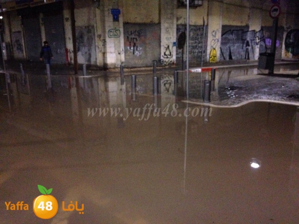 no3am streent yaffa (8).JPG